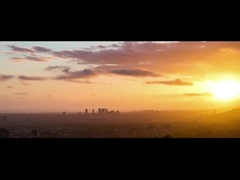 会社は導入する